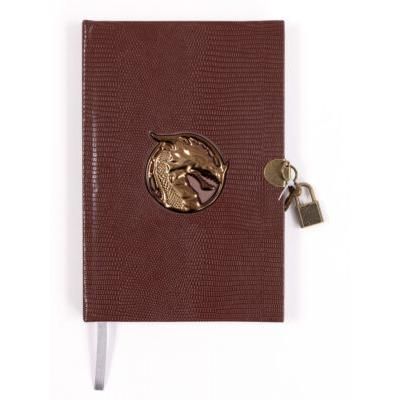 Gold Dragon Diary