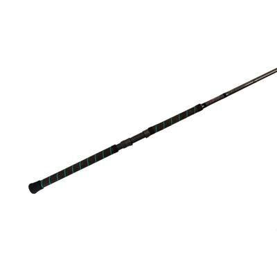 Phenix Abyss Spinning Rod 20-50 Mod-Fast 1 Pieces 8'0" PSX-809 - spin