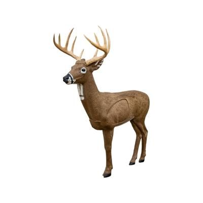 Rinehart Targets Woodland Big Jim