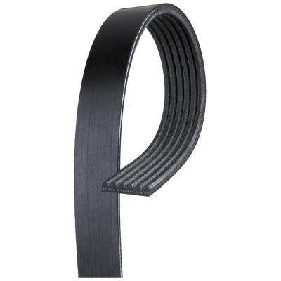 Gates Serpentine Belt EPDM & Polyester Cord V-belt Micro-V Series, Lifetime limited warranty K060456