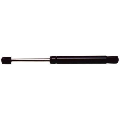 Strong Arm Lift Support Trunk Lid, Driver or Passenger Side, 1-year limited warranty 6807