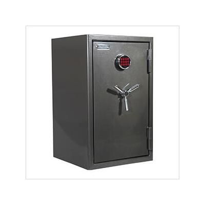 Sports Afield Sanctuary Platinum Series Home and Office Safe (Grey)