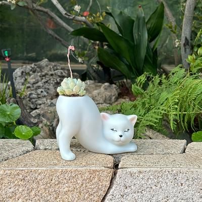 TEMU 1pc/bohemian Cute Cat Flower Pot Planting And Propagation Area, Lightweight And Versatile, Synthetic Resin Anti-fall Version, Suitable For Indoor/outdoor Use