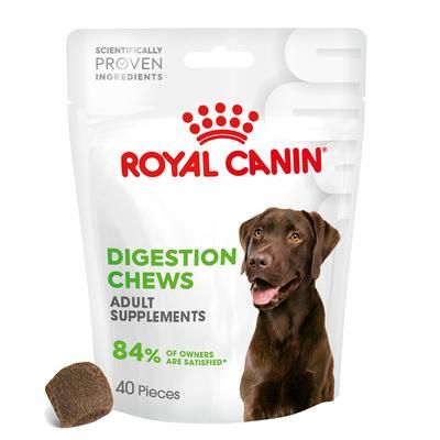 2x160g Digestion Chews Royal Canin Dog Snacks