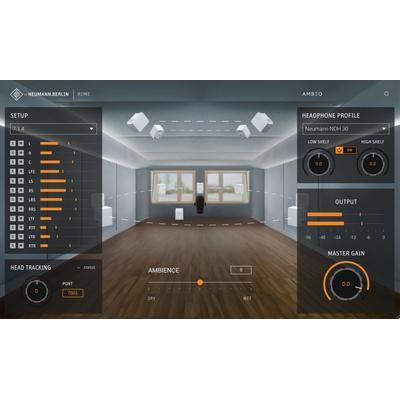 Neumann RIME