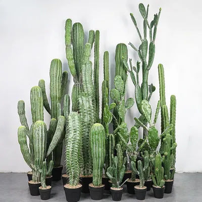Simulated Immortal Pillar Large Desert Plant Nordic Cactus Ball Artificial Green Plant Hoja Artificial Decoracion