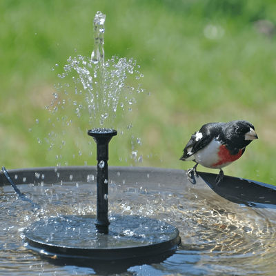 Solar Powered Bird Bath Fountain Solar Powered Bird Bath Fountain