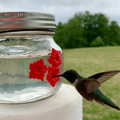 Beautiful Mason Jar Hummingbird Feeder W Three Ports Beautiful Mason Jar Hummingbird Feeder W Three Ports