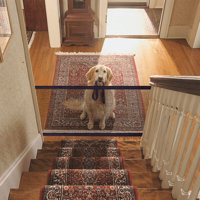 Portable Kids & Pets Safety Door Guard 110CMX72CM
