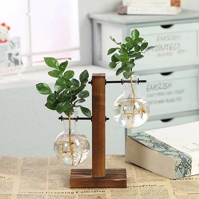 Vintage Hydroponic Plant Vase: Transparent Glass Tabletop Terrarium With Wooden Frame Home Decor & Bonsai Plant Displa a