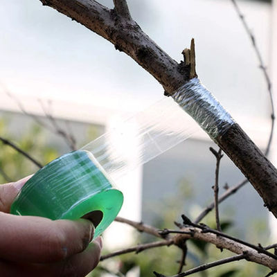 Tree Grafting Tape For Plants 2 CM