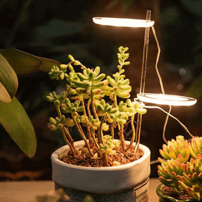 Stylish Angel Ring Grow Light 2 Light Heads
