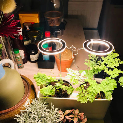 Grow Lights For Indoor Plants 2 Light Heads