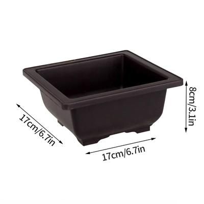 Purple Clay Succulent Pots: Outdoor Garden Bonsai Planters Square L