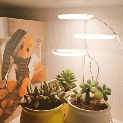 Angel Indoor Grow Lights For Plants Angel Indoor Grow Lights For Plants 3 Light Heads
