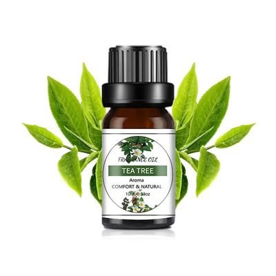 Pure 10ml Mango & Pineapple Essential Oils For DIY Aromatherapy, Soap, And Candle Making tea Tree