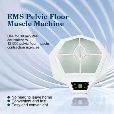 Non Invasive EMS Pelvic Floor Therapy Machine, Kegel Muscle Trainer Chair For Postpartum Recovery, Incontinence Repair 110v