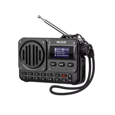 Portable Bluetooth Speaker With LCD Screen And FM Radio Portable Bluetooth Speaker With LCD Screen And FM Radio