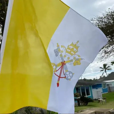 90X150cm The Vatican Flag Christianity Cross Banner Church high quality polyester Vatican City Flag