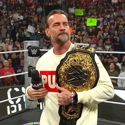 2025 Wrestling CM Punk Loose Fit round Neck Sweatshirt Best in the World Wrestling Punk Style Unisex Long Sleeve Crew Nec...