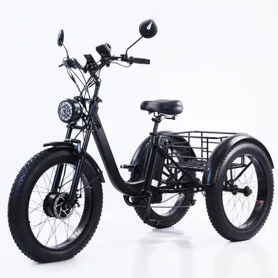 New Electric Tricyle Adult Electric Bicycle 24Inch Fat Tire 750W15AH Mobile Battery Mountain Ebike 3Wheel Electric Cargo Bike