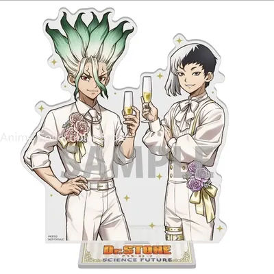 Anime Dr.STONE Ishigami Senku Gen Asagiri Acrylic Stand Ornaments Action Figures Cartoon Model Christmas Gifts Girls