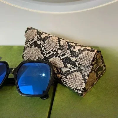 Boîte de rangement de lunettes de soleil pour femmes, sac de rangement rétro Portable, boîte à aspiration magnétique, boîtes à miroir en cuir à motifs de serpent PU