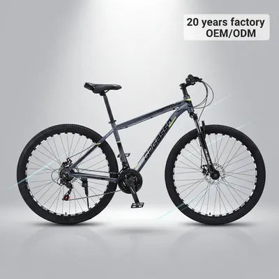 2026 Wholesale Customization 29 Inch 6061 Aluminum Frame Disc Brake Mountain Bike Bicycle MTB Bicicleta De Montana 29 for Adult