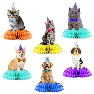 3Pcs/Set Cartoon Pet Cat Dog Theme Desktop Honeycomb Ornament Photo Props for Pet Birthday Baby Shower Party Decoration
