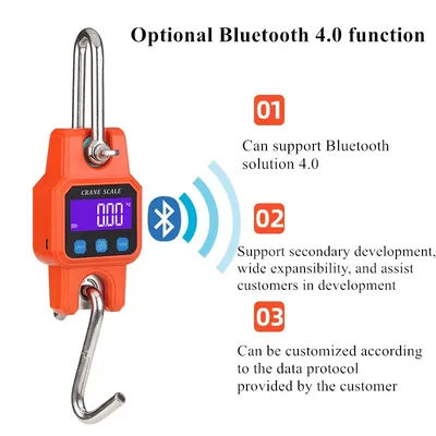 Mini balance de levage électronique portable avec Bluetooth, balance à crochet, utilisation domestique, charge, 300kg, 50g