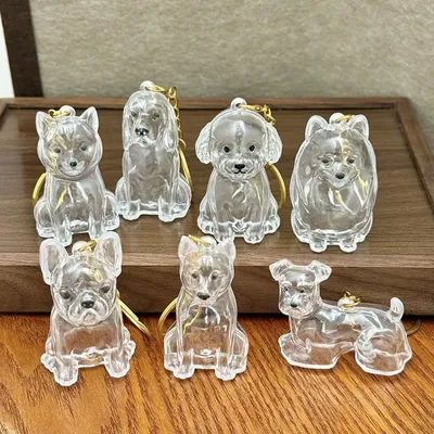 Dog Hair Collection Pendant Hair Storage Box Charm Pet Cute Keychains Clear Plastic Pet Hair Capsule Souvenirs DIY Gifts