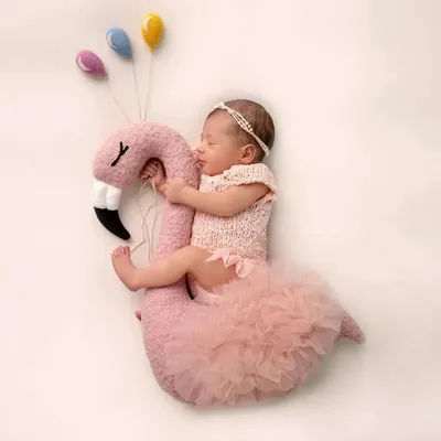 Newborn Photography Full Moon Baby Photo Flamingos Gauze Props Studio Auxiliary Modeling Pillow