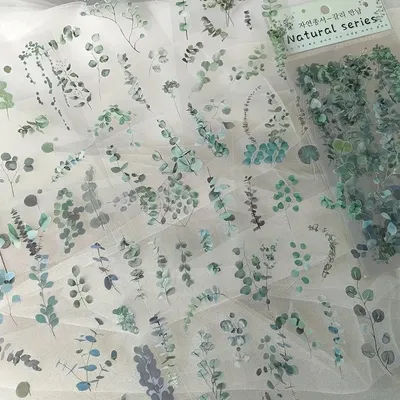 6PCS/Pack Transparent PET Stickers Floral Leaves Plants Nature Themed Clear Decals DIY Scrapbooking Journal Collage Materials