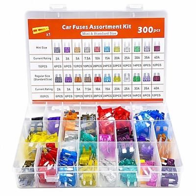 Kit assortimento fusibili auto, mini fusibili a lama per auto fusibili standard per auto estrattore – ricambio per camper, roulotte, barche, camion (gli assortimenti dei prodotti variano in base