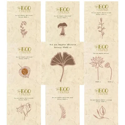 Matrices de découpe en métal russie pour plantes écologiques, bricolage, Scrapbooking, Album Photo décoratif, gaufrage, carte en carton, artisanat, 2021