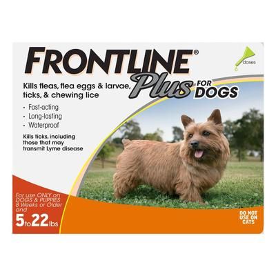 Frontline Plus For Small Dogs Upto 22lbs (Orange) 3 Pipettes