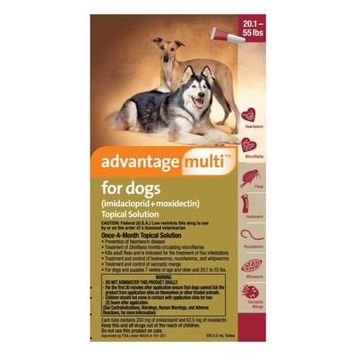 Advantage Multi For Large Dogs 10 To 25 Kg (Red) 6 Pack