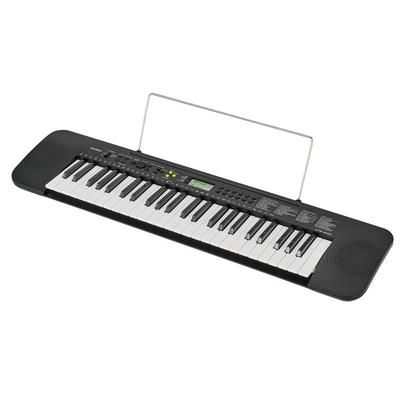 Casio CTK-240 Keyboard