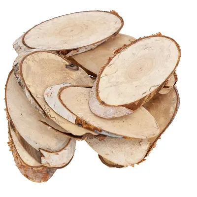 Rondelles en bois de bouleau, 11-13 cm, 15 pièces