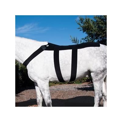 Ice Horse Back Blanket Wrap - Pony - S - Smartpak