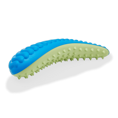 Blue & Green Dental Chew Oval Dog Toy X-Small