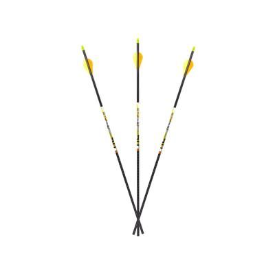 Carbon Express D-Stroyer SD Hunting Arrow 350 6pk 51155