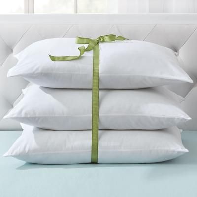 3-Pack Pillow by BrylaneHome in White (Size PKING)