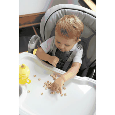 Peg Perego Prima Pappa Best High Chair in Paloma