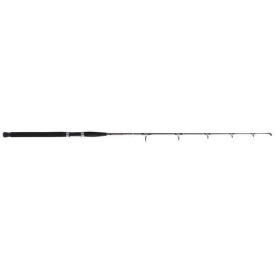 Star Rods Aerial Jigging Spinning Rod Heavy 40-80lb Braid 1 Piece Eva Grips 5'6" EXJS56H