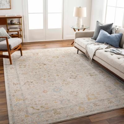 Amina 2' x 2'11" Traditional Beachhouse/Driftwood/Dark Beige/Smoke/Nutmeg/Medium Gray/Taupe/Amber/Dark Brown/Light Olive/Dusty Pink/Mustard/Medium Gray/Dark Brown Area Rug - Boutique Rugs