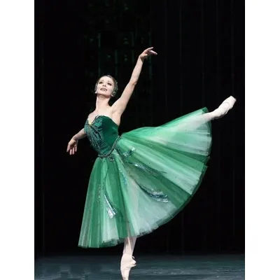 Jupe de Ballet pour enfants, robe de spectacle du lac des cygnes, longue robe de Ballet en velours vert, justaucorps de Ballet pour filles, robe de ballerine pour femmes