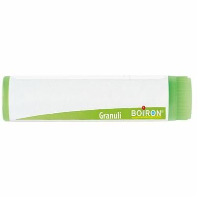 Magnesia Carbonica*5Ch 80Gr 4G 4 g Granuli