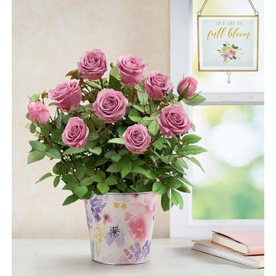 1-800-Flowers Flower Delivery Lovely Lavender Rose Small W/ Suncatcher