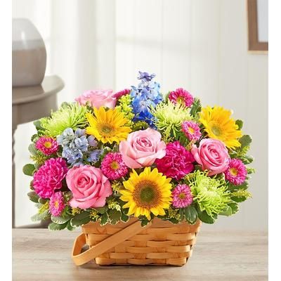 1-800-Flowers Plant Delivery Sunny Garden Basket Large Plant